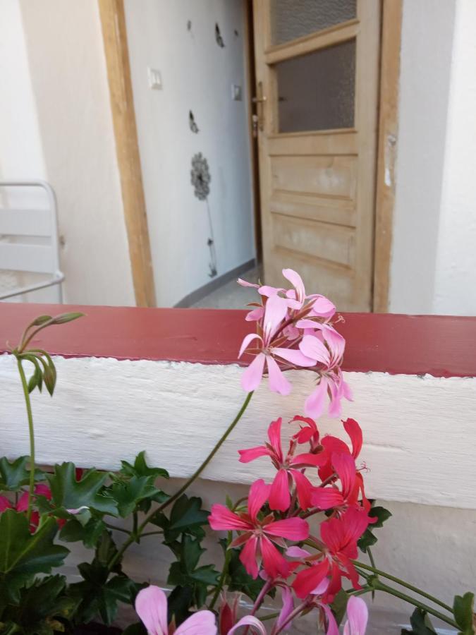 Da Valentina Apartment Castelfondo Екстериор снимка